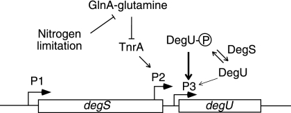 FIG. 6.