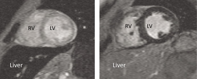 Figure 7: