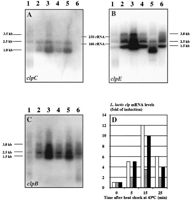 FIG. 5