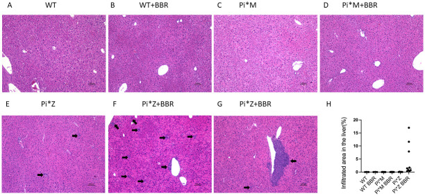 Fig 9