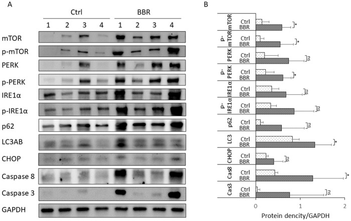 Fig 8