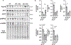 Figure 5: