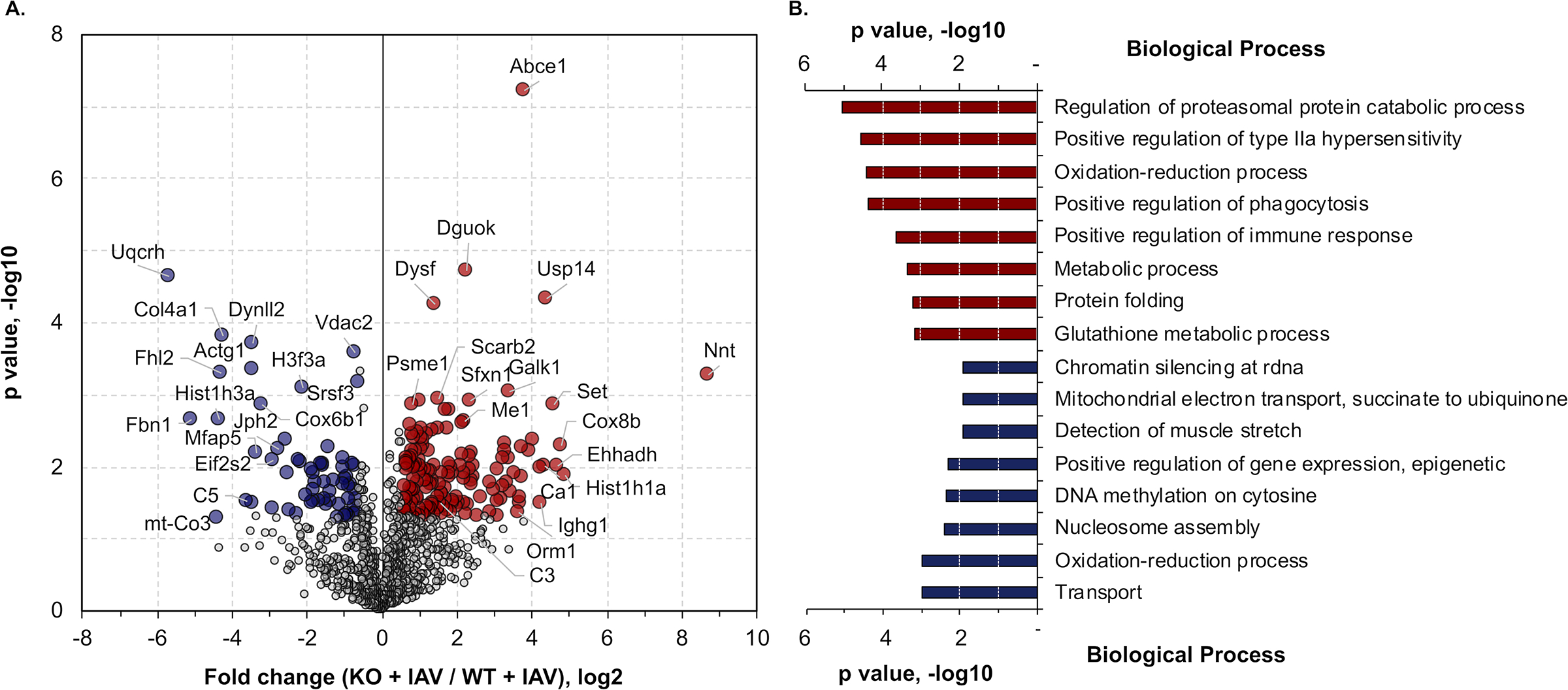 Figure 4: