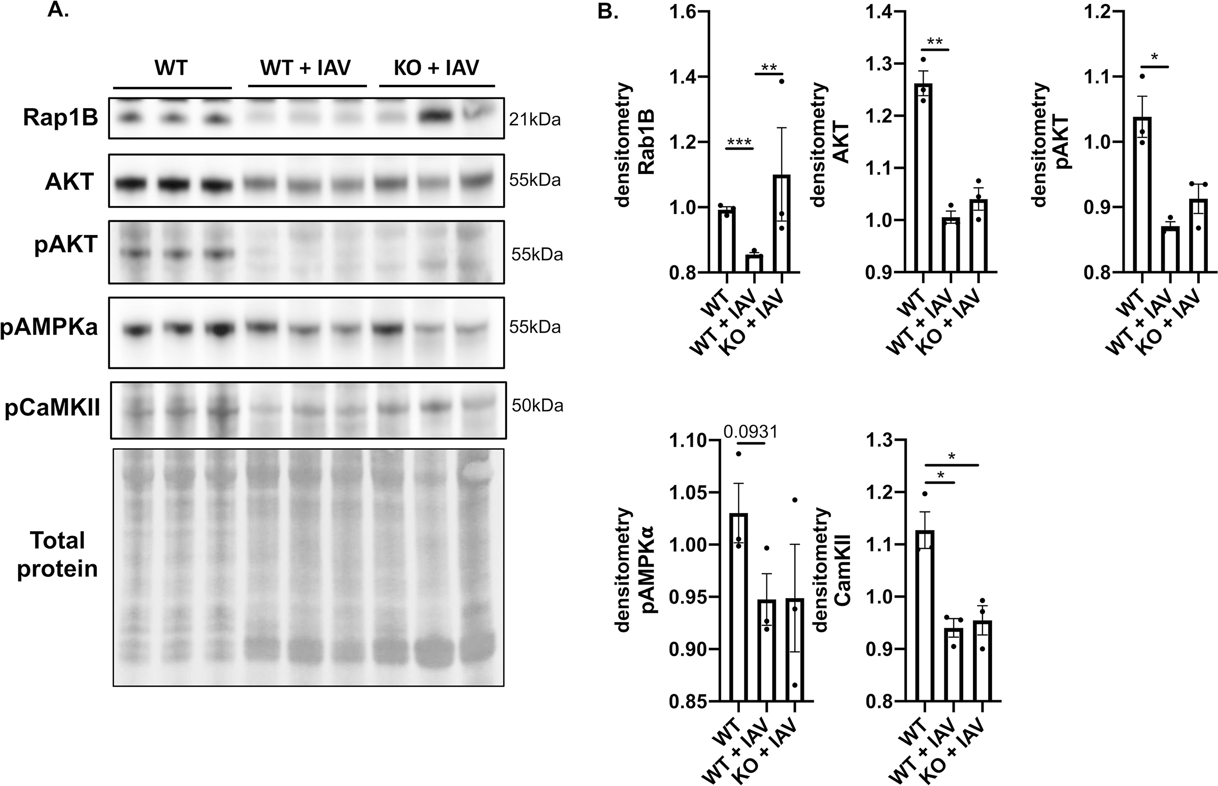 Figure 5: