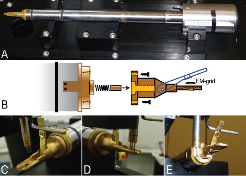 Fig. 3