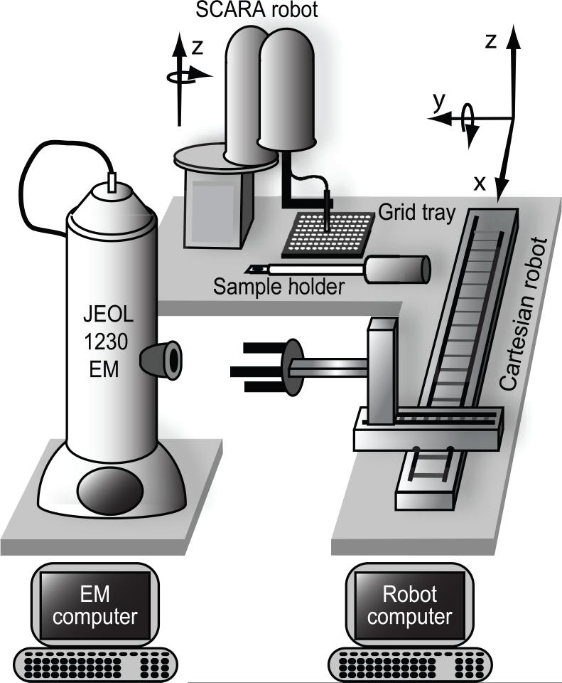 Fig. 1