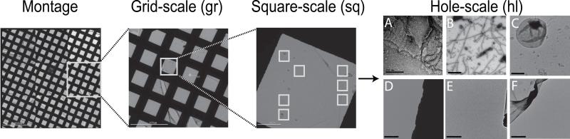 Fig. 6