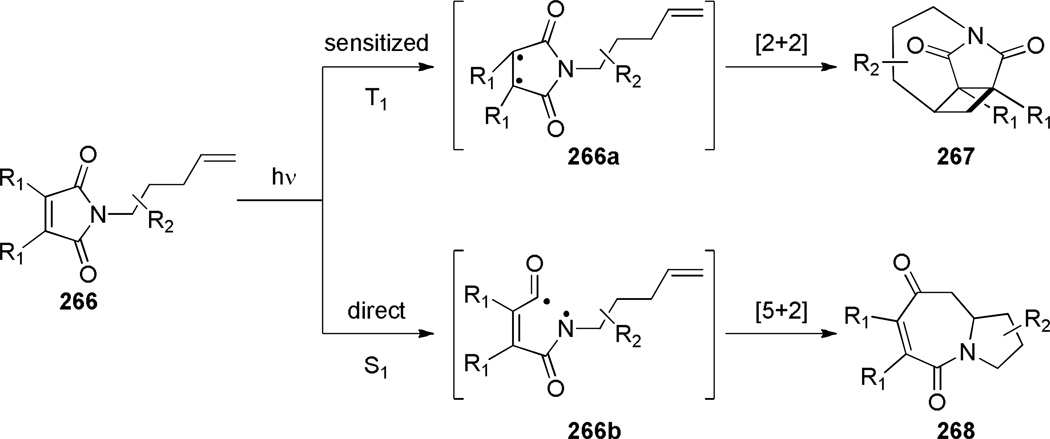 Scheme 75