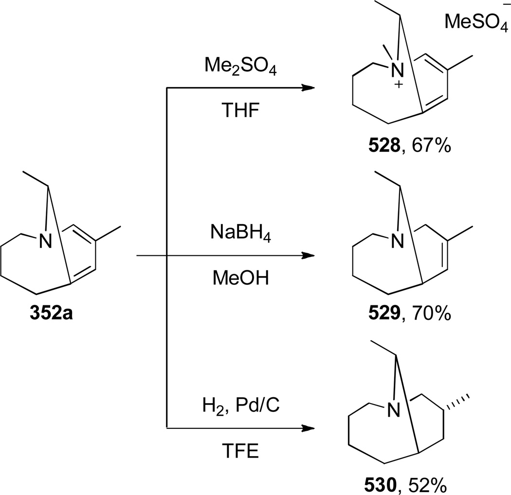 Scheme 162