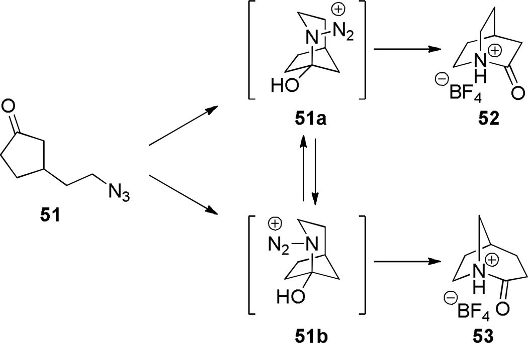 Scheme 8