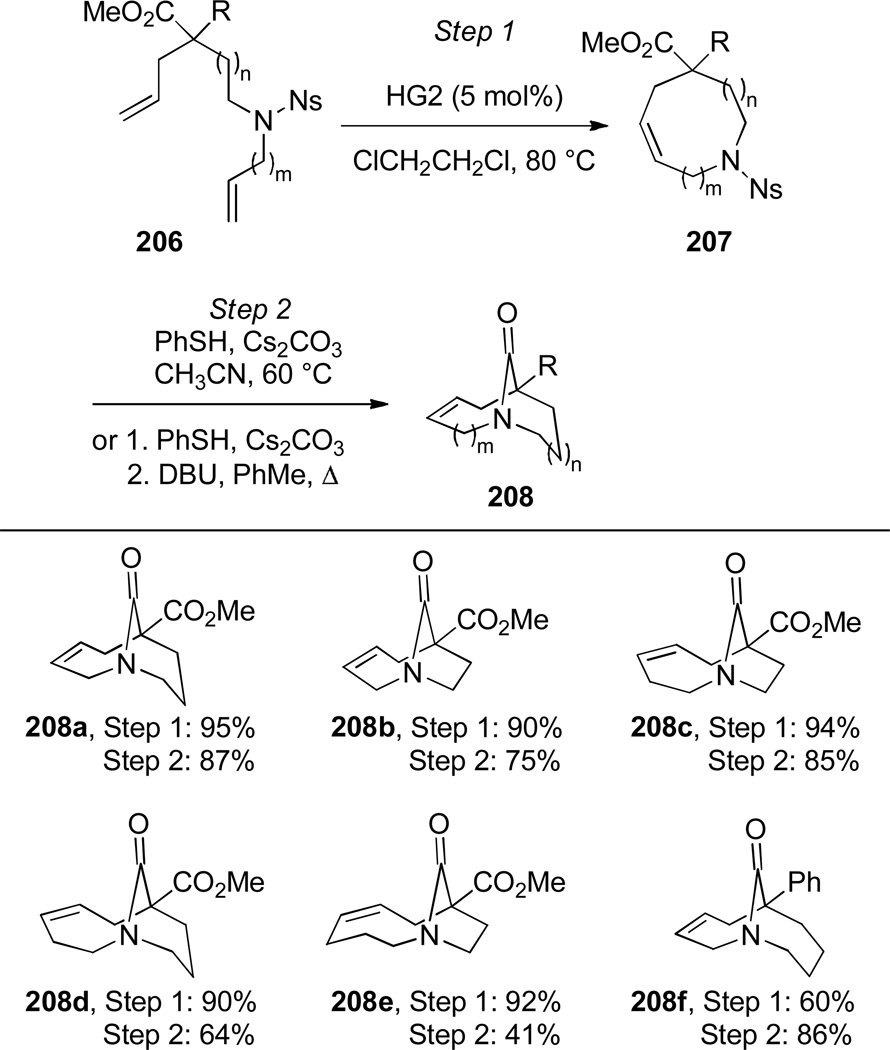 Scheme 53