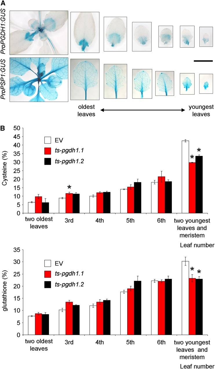 Figure 6.