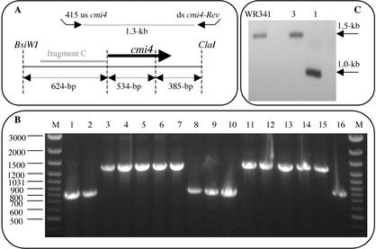 FIG. 4.