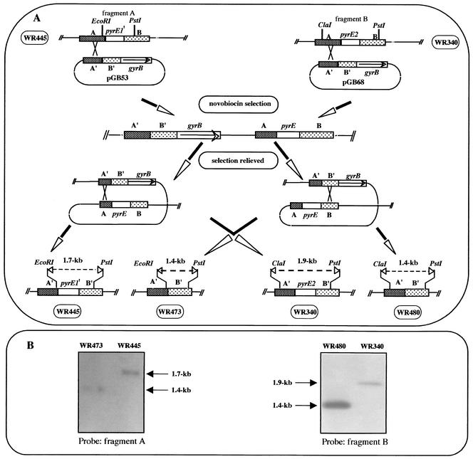 FIG. 3.