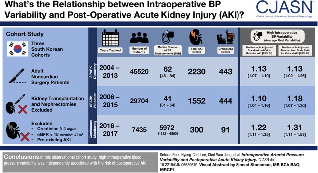 graphic file with name CJN.06620619absf1.jpg