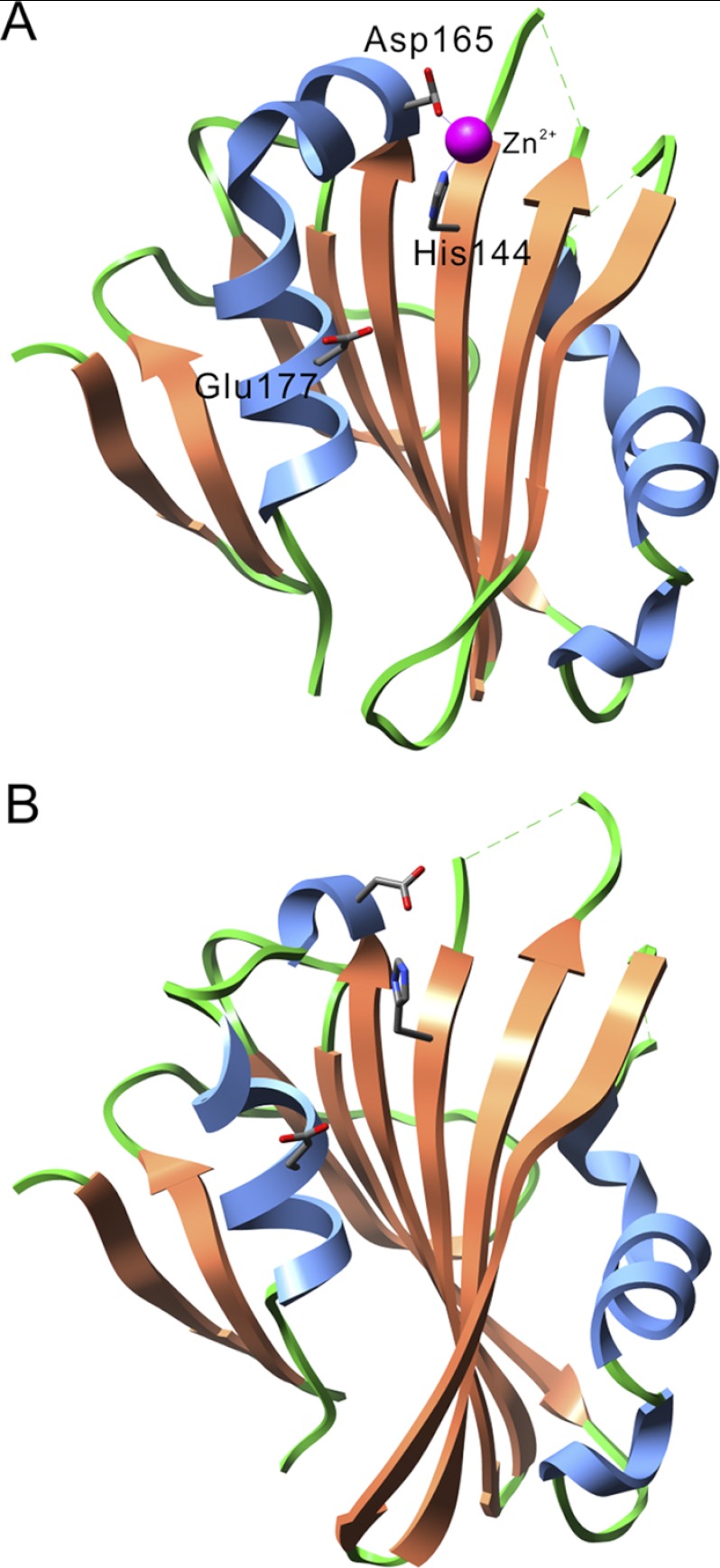 FIGURE 1.