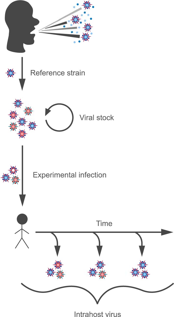 FIG 1