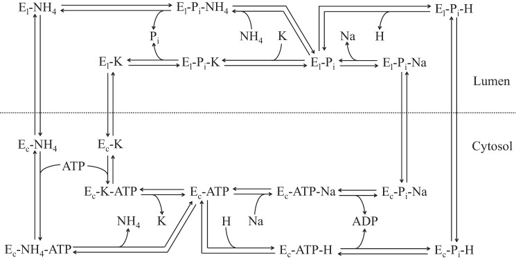 Fig. 1.