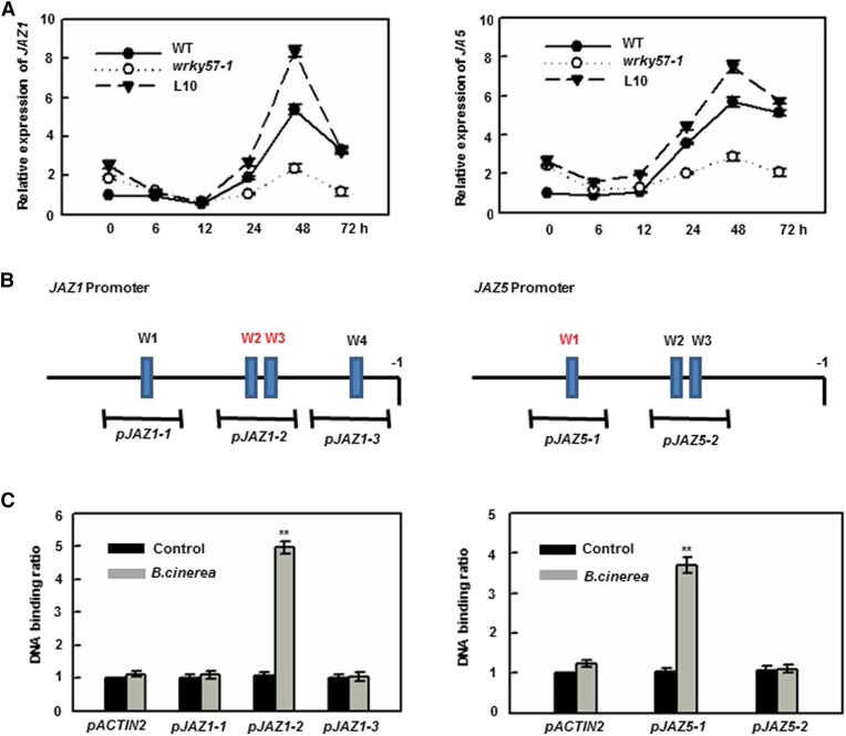 Figure 4.