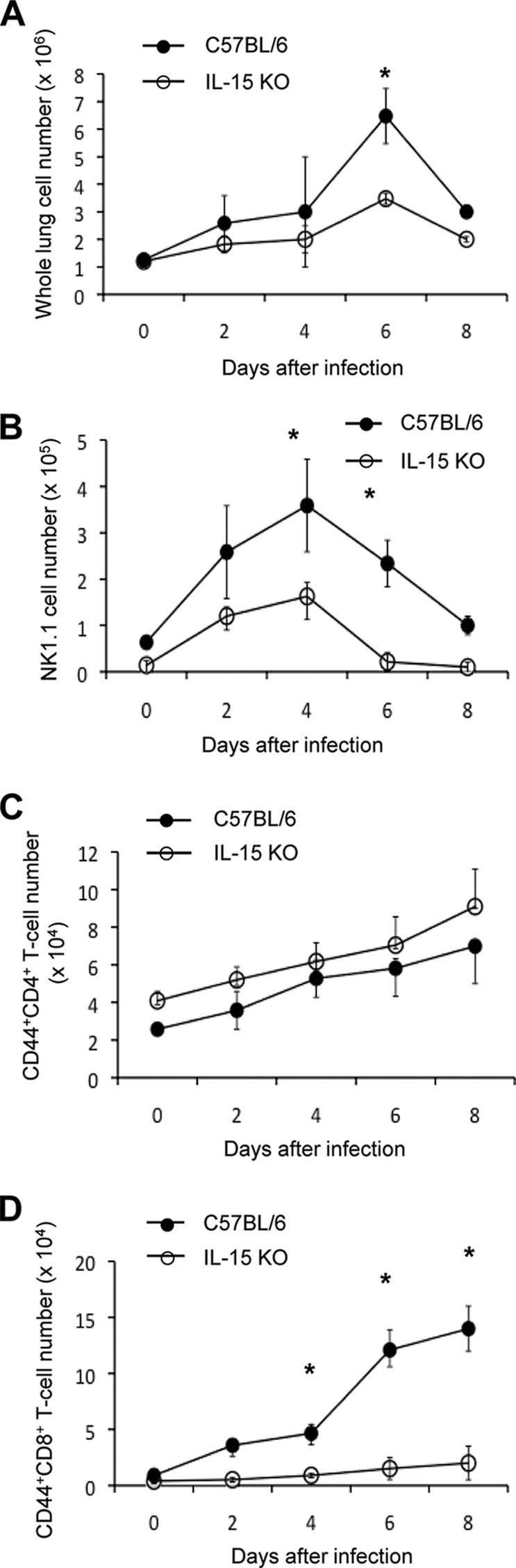 FIG. 2.