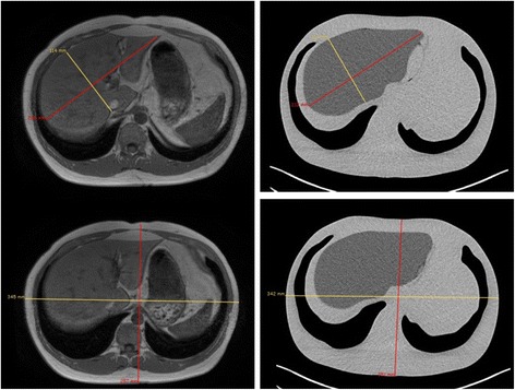 Fig. 8