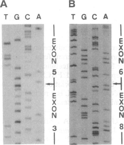 graphic file with name pnas01132-0118-c.jpg