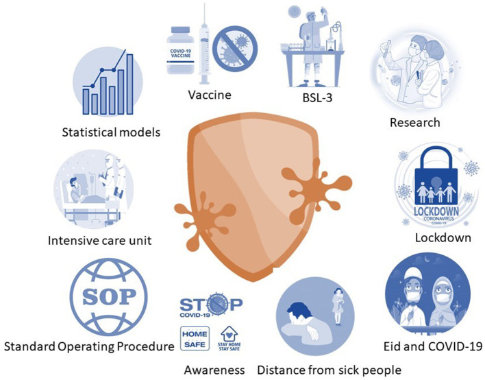 Graphical Abstract