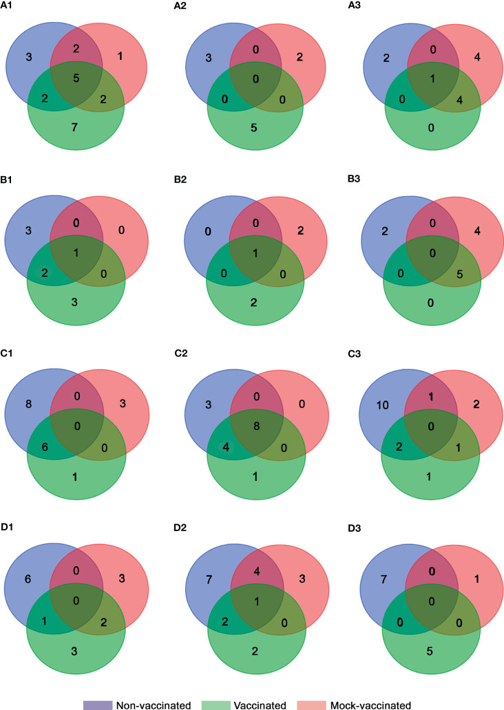 Figure 4