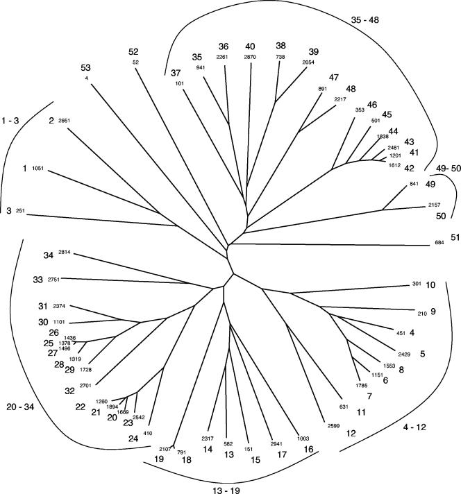 FIG. 5.