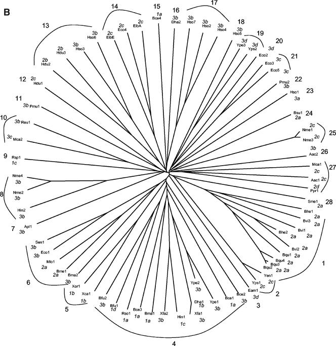 FIG.2.