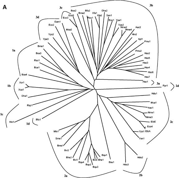 FIG.2.