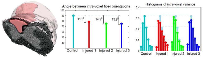 Fig. 10