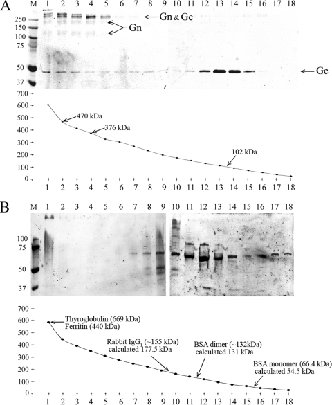 FIG. 5.