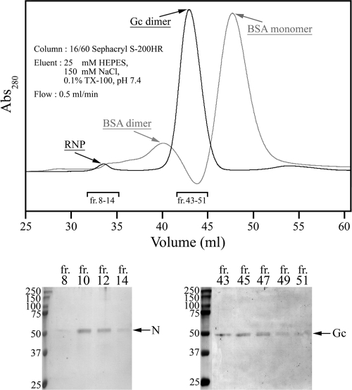 FIG. 6.