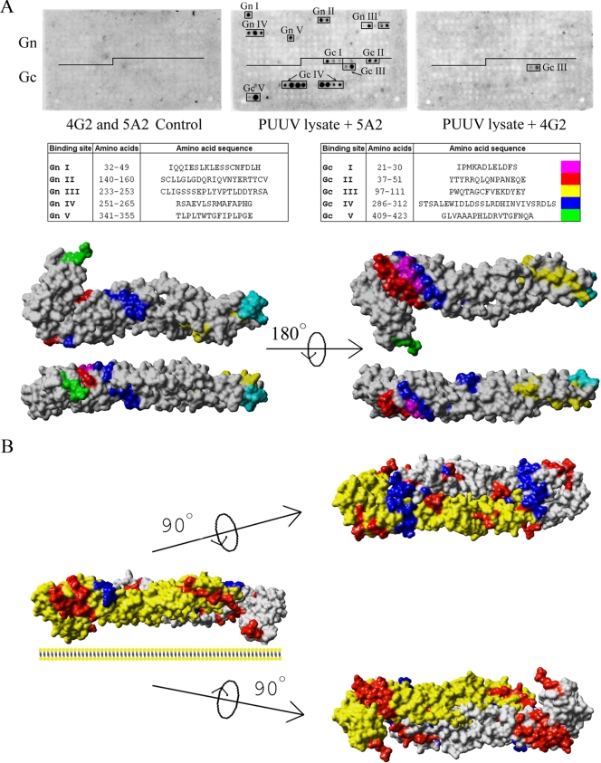 FIG. 8.