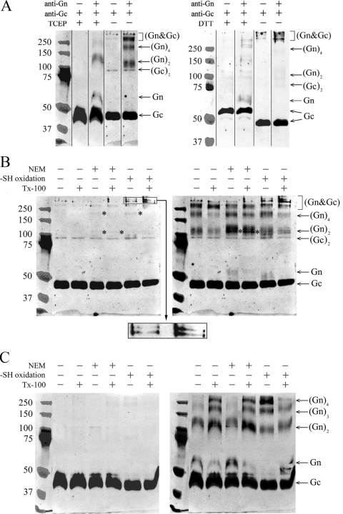 FIG. 4.