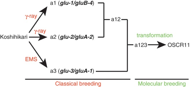 Figure 1.