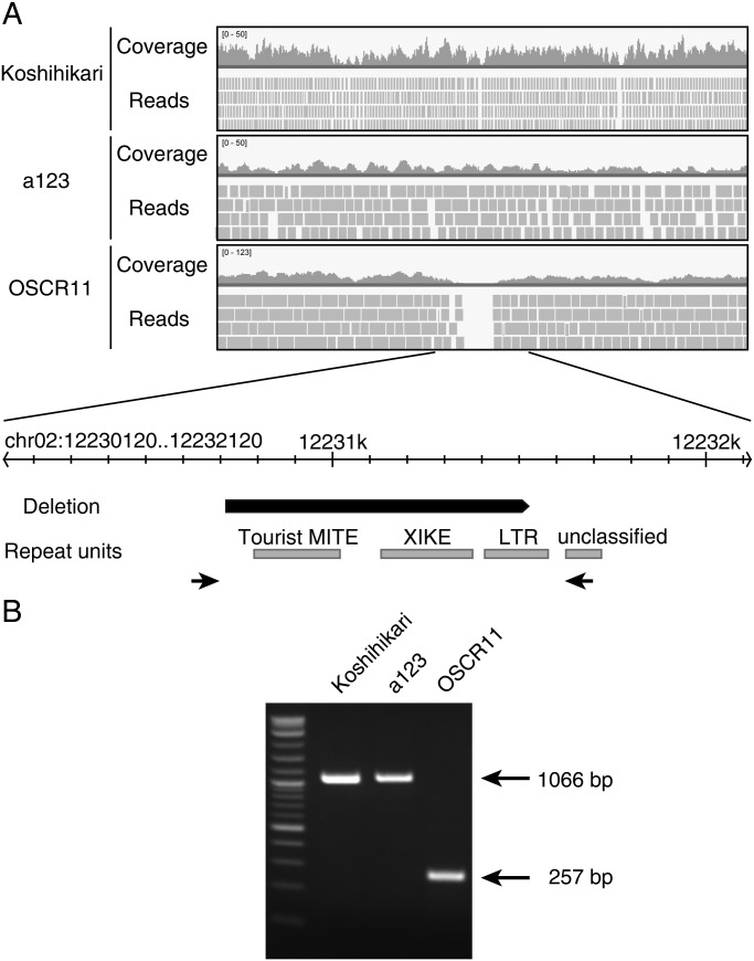 Figure 2.