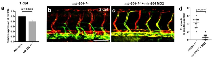 Figure 3—figure supplement 1.