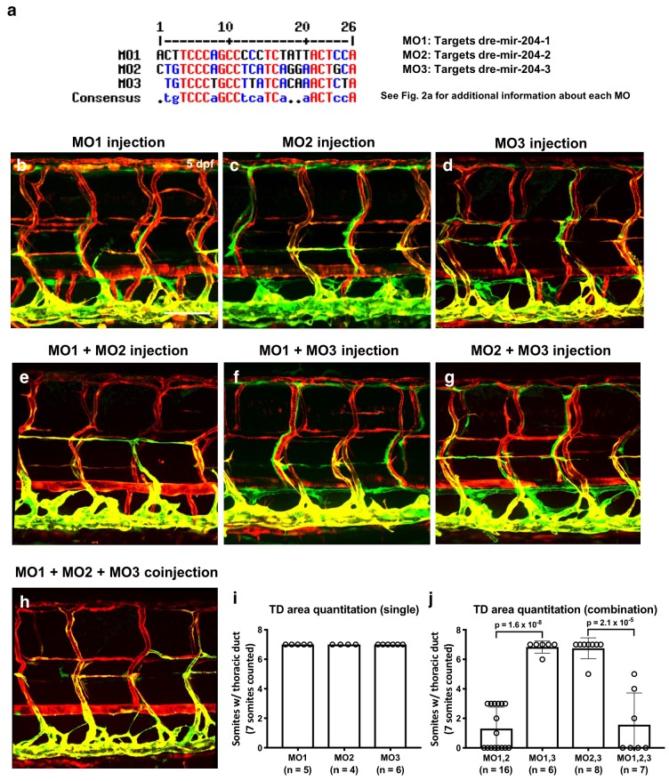 Figure 2—figure supplement 2.