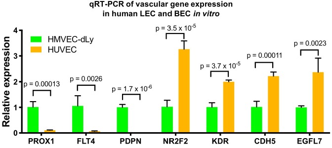 Figure 1—figure supplement 1.