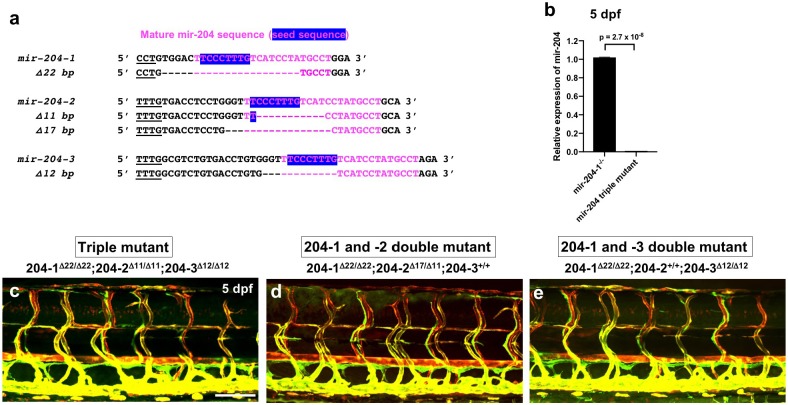 Figure 3—figure supplement 2.