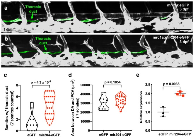 Figure 4—figure supplement 1.