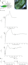Fig. 3.