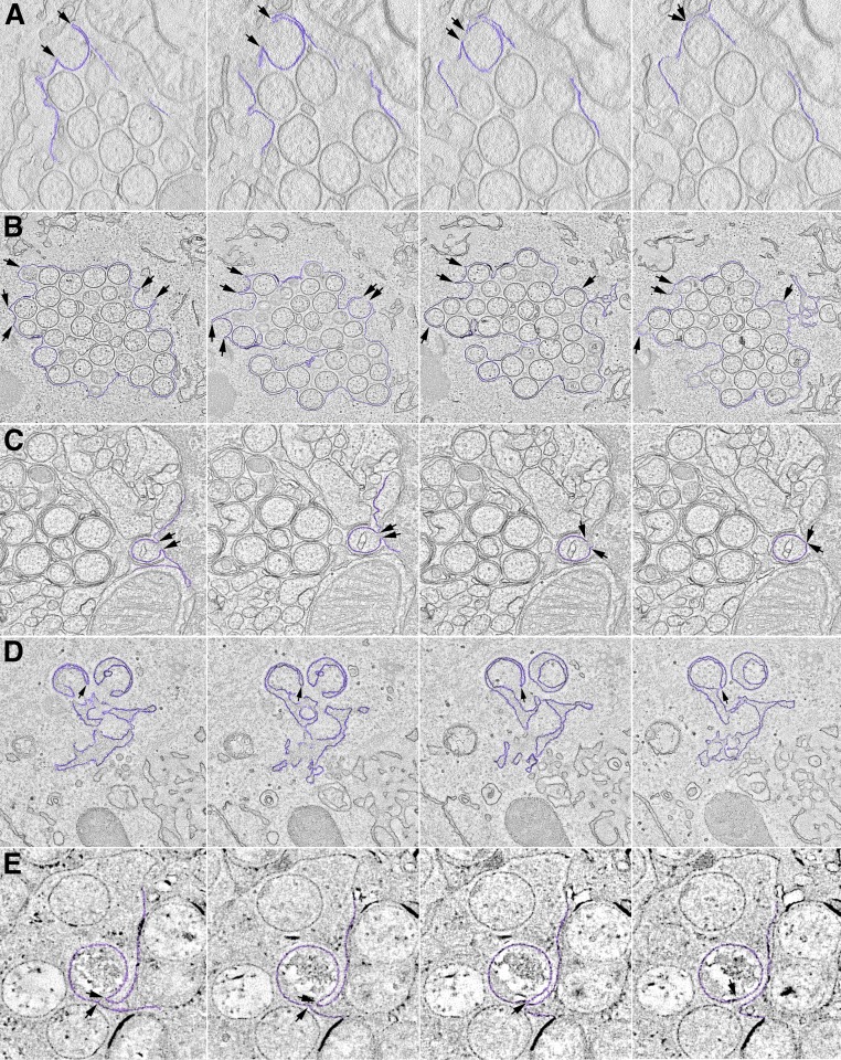 Fig. 2.