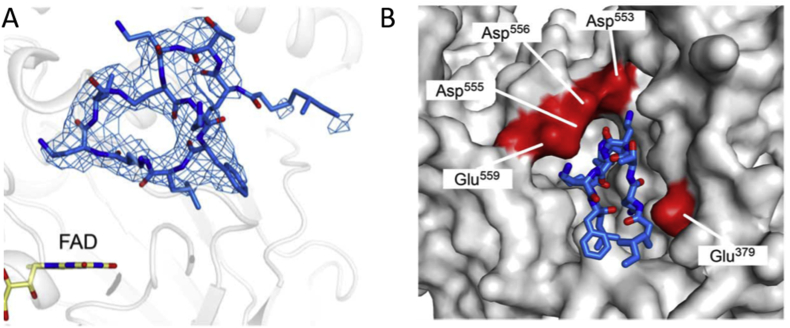 Figure 3