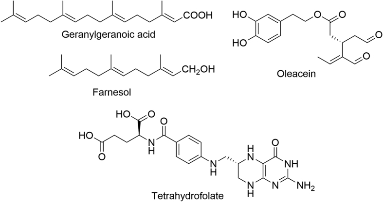 Figure 10