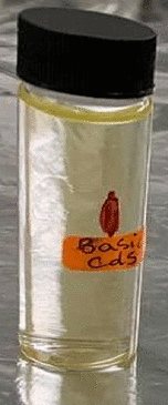 graphic file with name 41598_2022_16733_Figa_HTML.gif