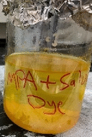 graphic file with name 41598_2022_16733_Figd_HTML.gif