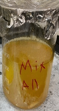 graphic file with name 41598_2022_16733_Fige_HTML.gif